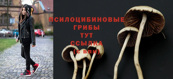 прущие крисы Гусев