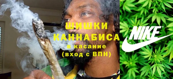 прущие крисы Гусев