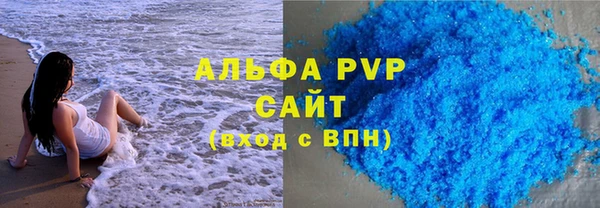 прущие крисы Гусев
