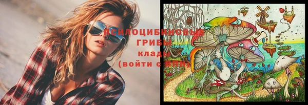 a pvp Гусь-Хрустальный